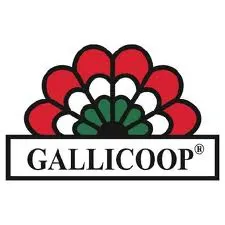 Gallicoop referencia